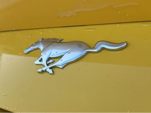 Used 2024 Ford Mustang Coupe RWD image 19