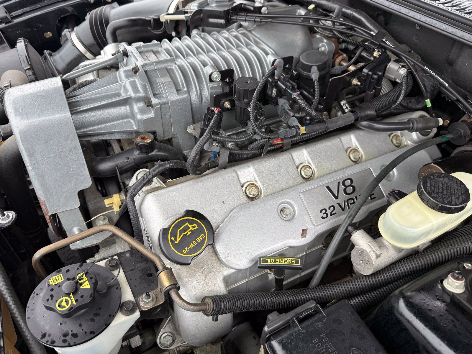 Used 2004 Ford Mustang Cobra RWD image 28