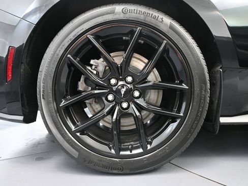 Used 2024 Ford Mustang GT Premium w/ Mustang Nite Pony Package RWD image 15