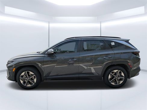 New 2025 Hyundai Elantra Blue image 6