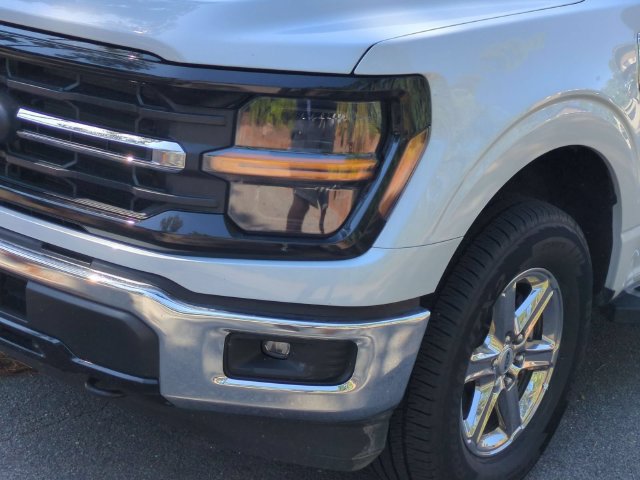 Used 2025 Ford F150 XLT w/ Equipment Group 301A Standard AWD/4WD image 9