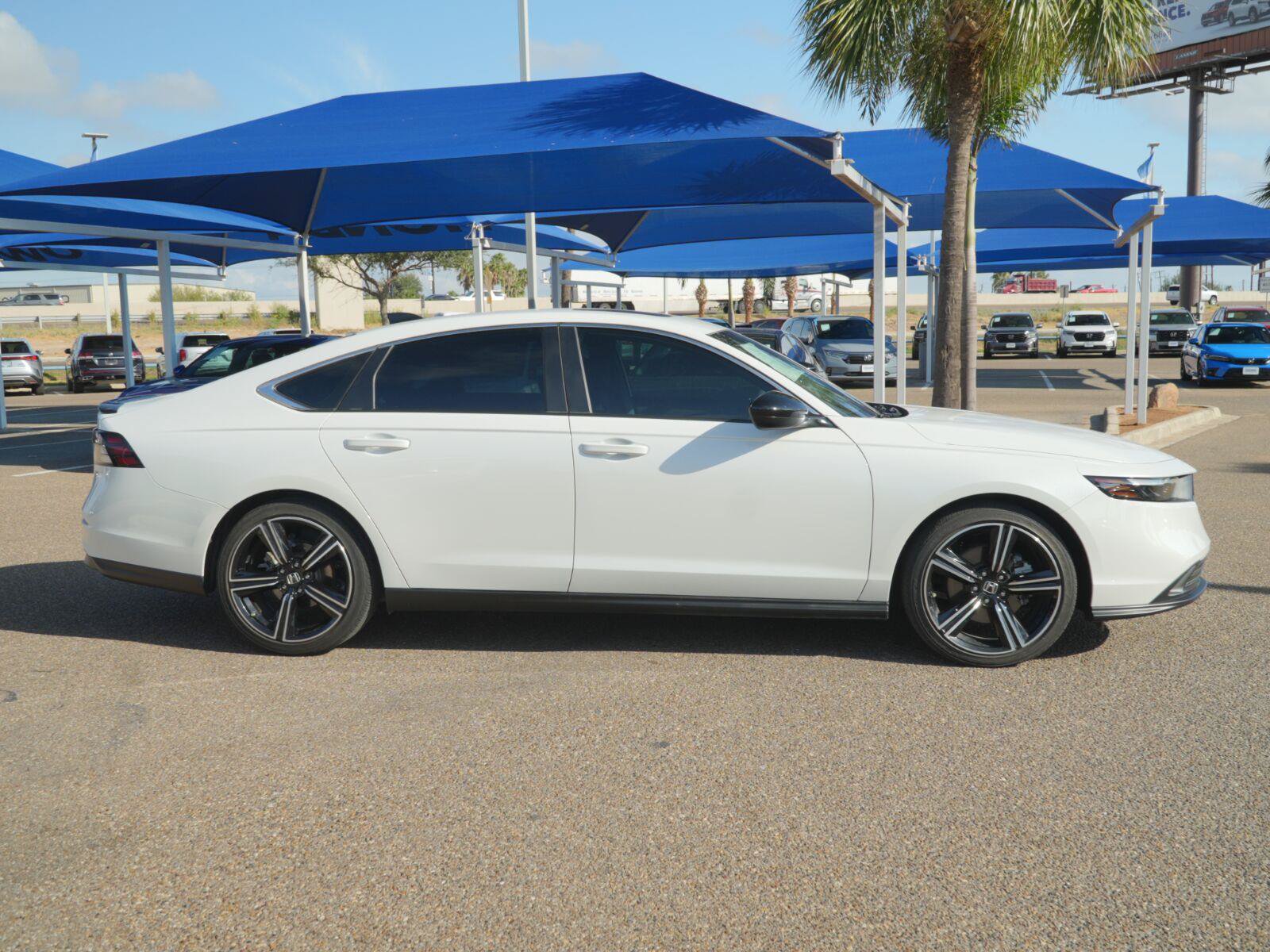 Used 2024 Honda Accord Sport image 4
