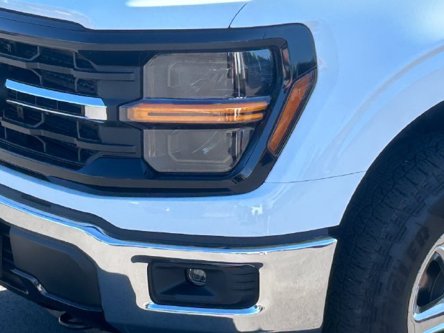 Used 2025 Ford F150 XLT w/ Equipment Group 301A Standard AWD/4WD image 13