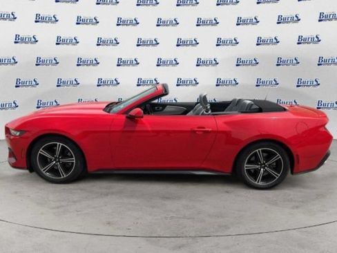 Used 2024 Ford Mustang Premium RWD image 6