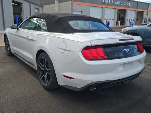 Used 2019 Ford Mustang Premium image 3