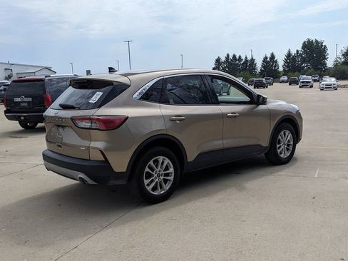 Used 2020 Ford Escape SE AWD/4WD image 3