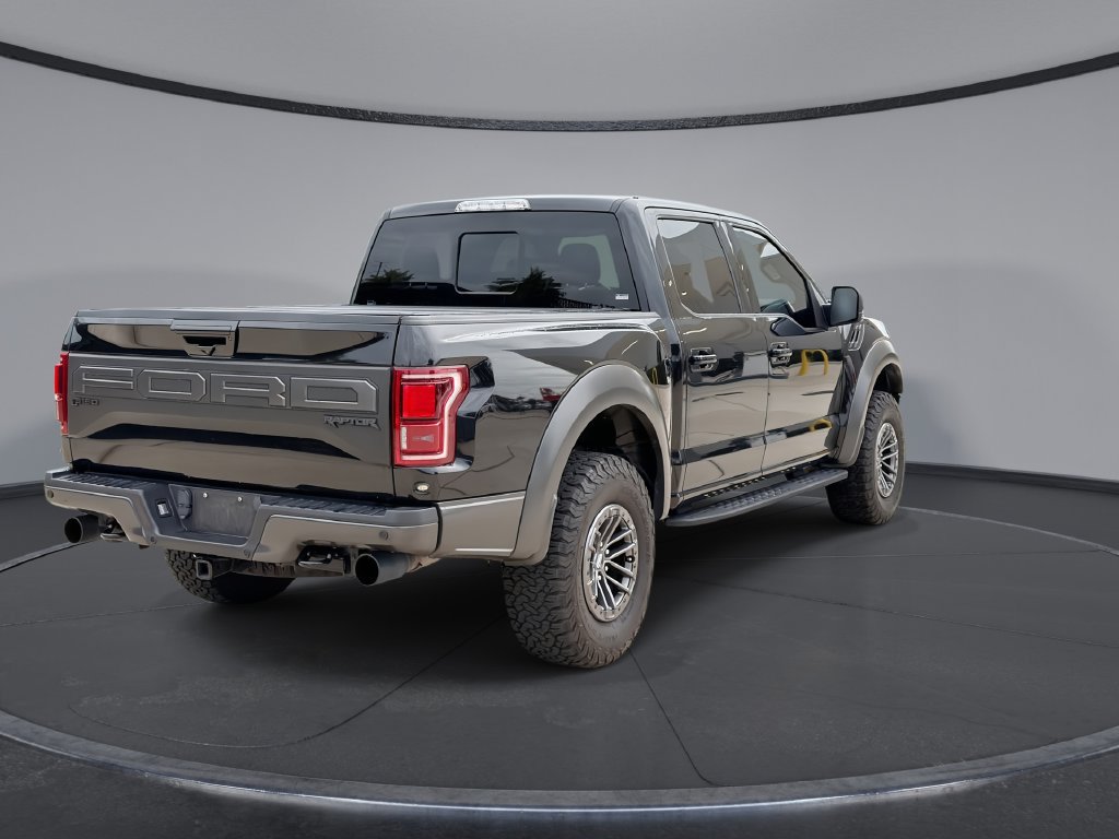 Used 2020 Ford F150 Raptor w/ Equipment Group 802A Luxury AWD/4WD image 11