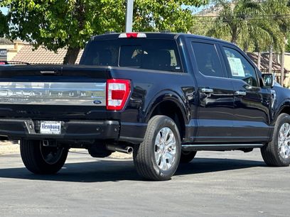 Used 2023 Ford F150 Platinum w/ Equipment Group 701A High