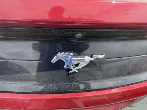 Used 2019 Ford Mustang Coupe image 30