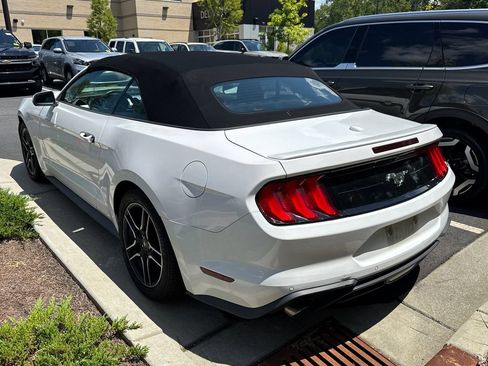 Used 2021 Ford Mustang Premium RWD image 3