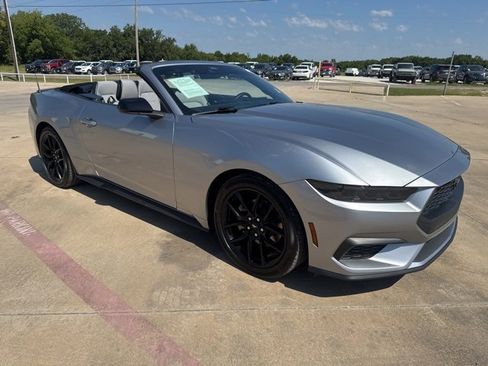 Used 2024 Ford Mustang Convertible w/ Mustang Nite Pony Package image 8