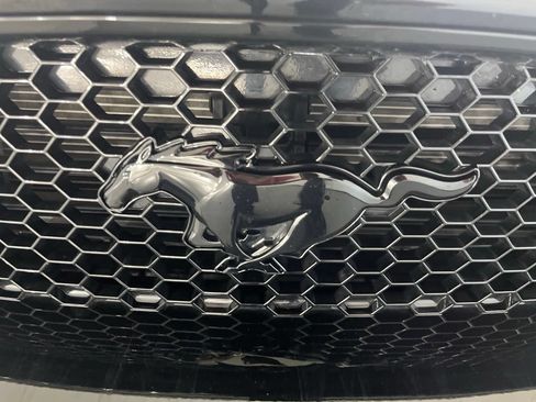 Used 2019 Ford Mustang GT w/ Equipment Group 301A RWD image 29