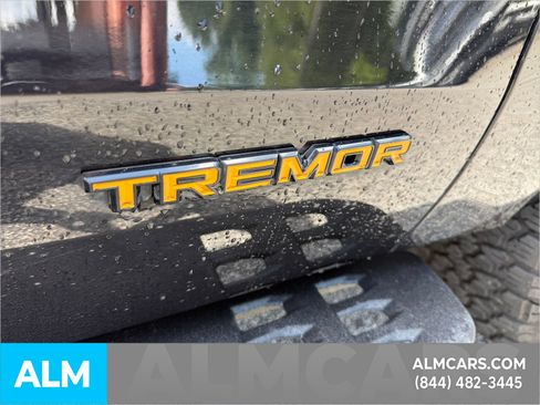 Used 2025 Ford Expedition Tremor AWD/4WD image 5