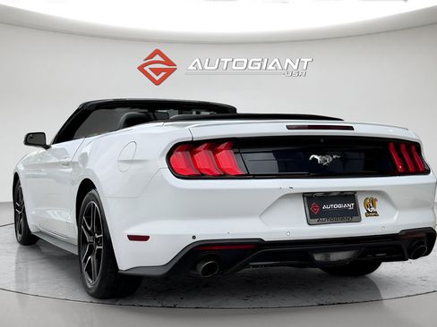 Used 2019 Ford Mustang Premium RWD image 8