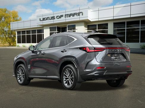 Used 2025 Lexus NX 350h AWD w/ Cold Area Package image 3
