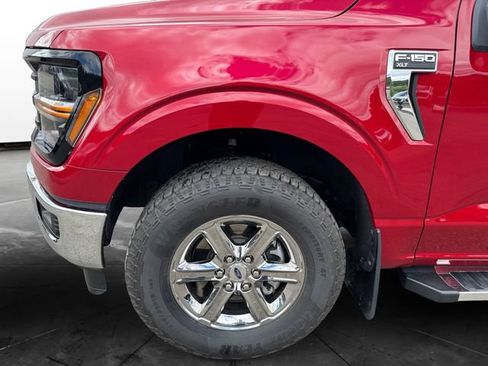 Used 2025 Ford F150 XLT w/ Equipment Group 301A Standard AWD/4WD image 14