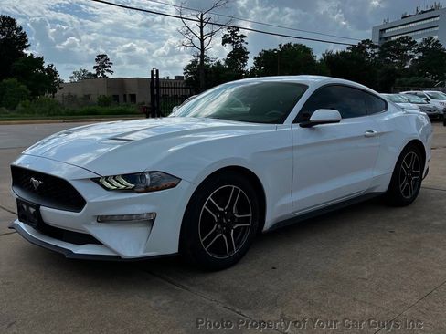 Used 2019 Ford Mustang Coupe w/ Equipment Group 101A RWD image 10