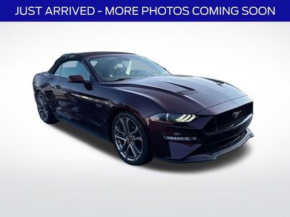 Used 2018 Ford Mustang GT Premium w/ Equipment Group 401A