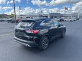 Used 2022 Ford Escape SE image 5
