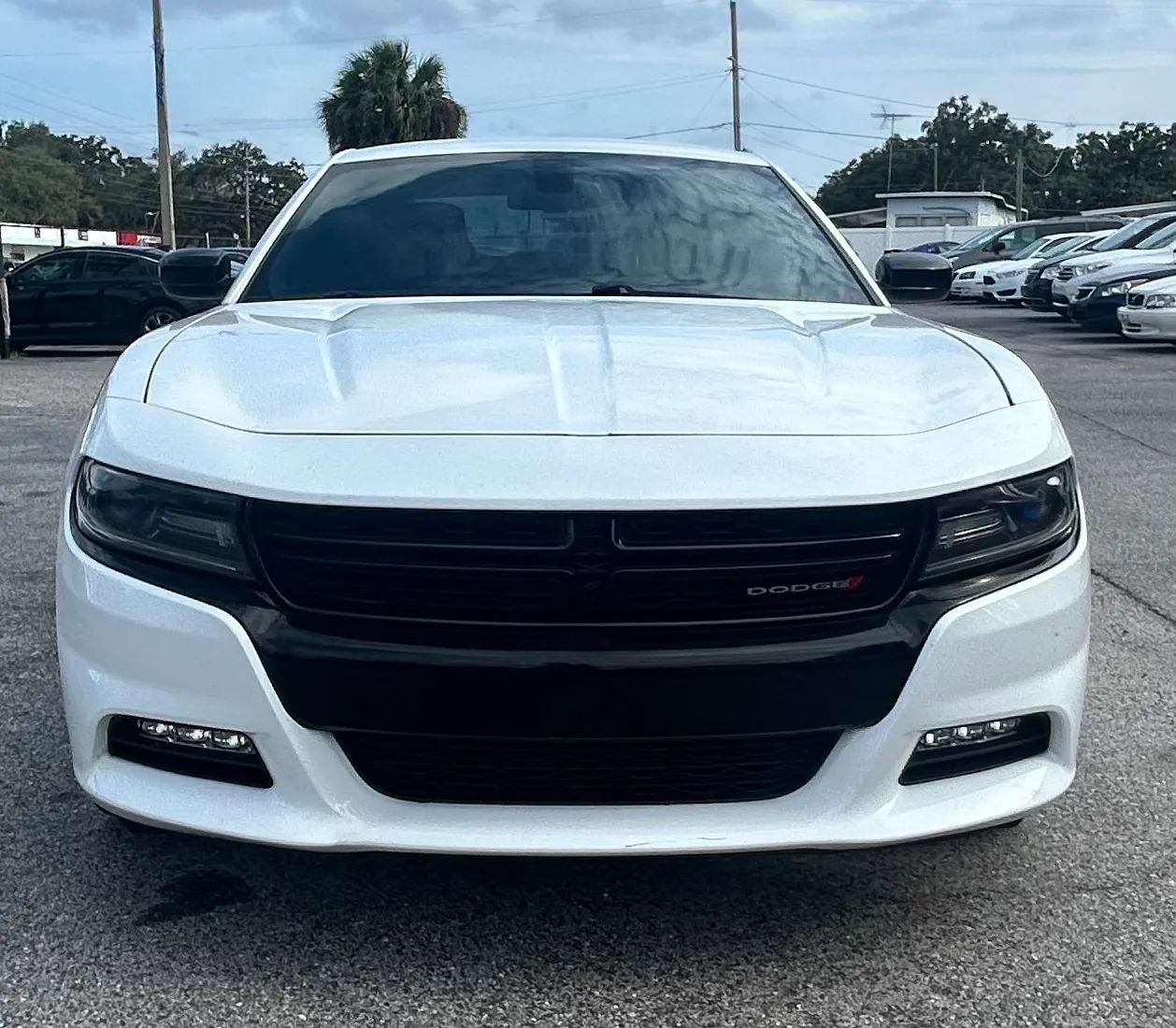 Used 2016 Dodge Charger SXT w/ Blacktop Package RWD image 5