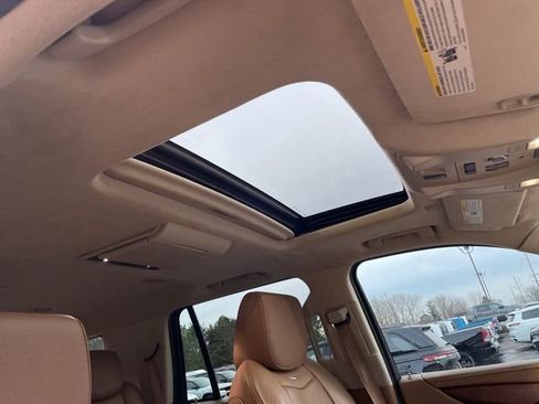 Used 2016 Cadillac Escalade Platinum image 5