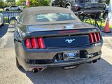 Used 2016 Ford Mustang Premium image 3