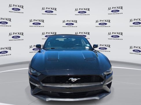Used 2019 Ford Mustang Premium RWD image 8
