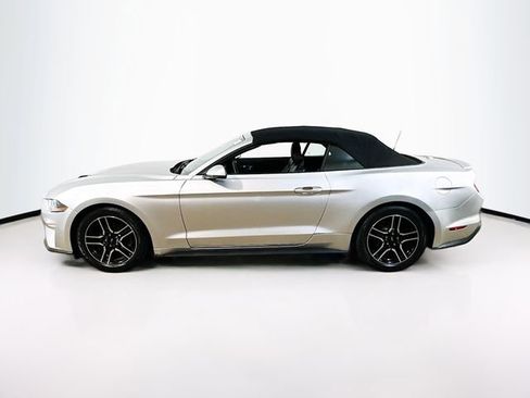 Used 2019 Ford Mustang Premium RWD image 4