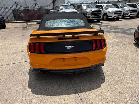 Used 2019 Ford Mustang Premium w/ Equipment Group 201A RWD image 4