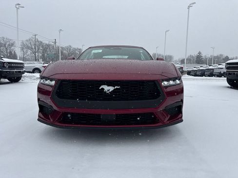 Used 2025 Ford Mustang Premium image 3