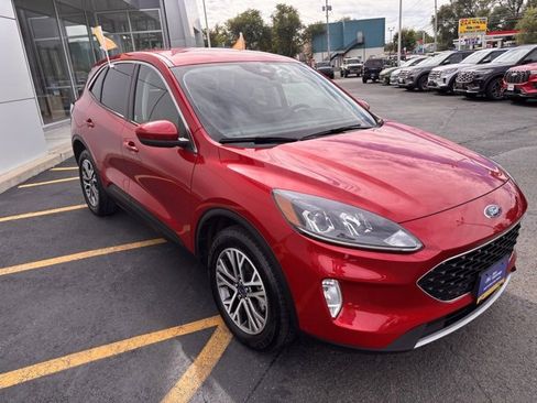 Certified 2022 Ford Escape SEL image 10