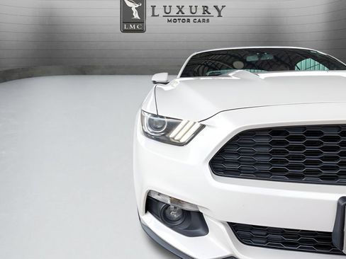 Used 2017 Ford Mustang Premium w/ Equipment Group 201A RWD image 13