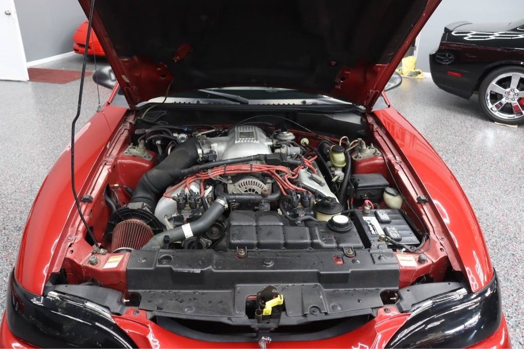 Used 1998 Ford Mustang Cobra RWD image 22