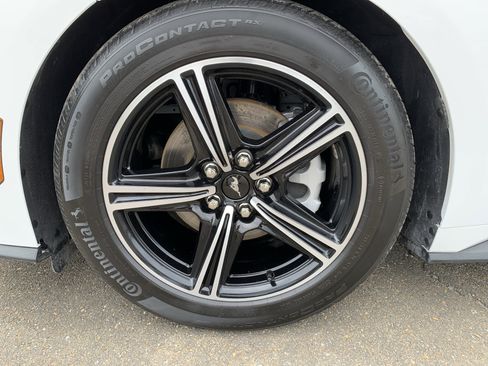 Used 2025 Ford Mustang Premium RWD image 43