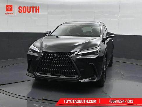 Used 2024 Lexus NX 350h AWD w/ Vision Package image 5