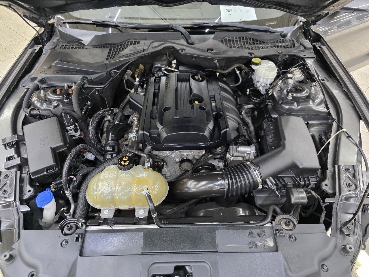 Used 2020 Ford Mustang Coupe w/ Equipment Group 101A RWD image 36