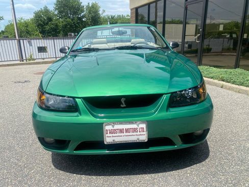 Used 1999 Ford Mustang Cobra RWD image 5