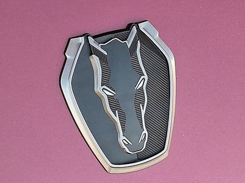Used 2025 Ford Mustang Dark Horse RWD image 25