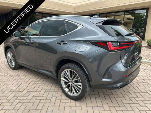 Certified 2025 Lexus NX 350 AWD w/ Cold Area Package image 6