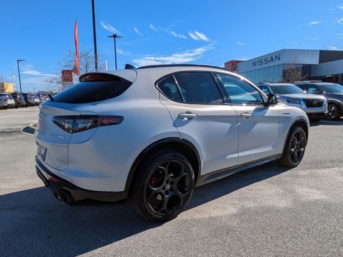 Used 2024 Alfa Romeo Stelvio AWD image 4
