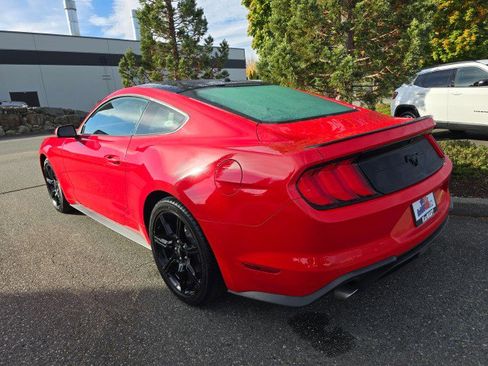 Used 2019 Ford Mustang Premium w/ Equipment Group 201A image 5