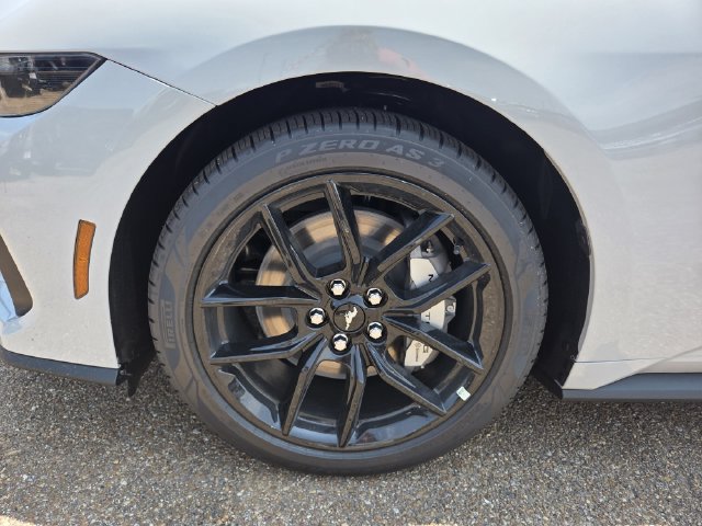 New 2026 Ford Mustang GT Premium w/ Mustang Nite Pony Package RWD image 21