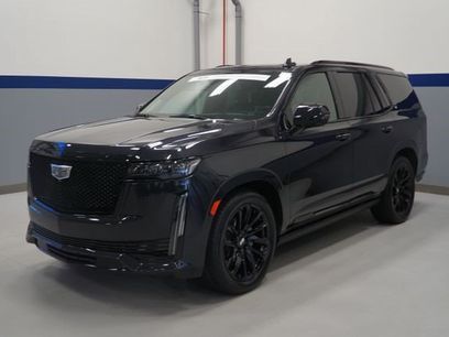 Certified 2024 Cadillac Escalade Sport Platinum w/ LPO, ONYX Package