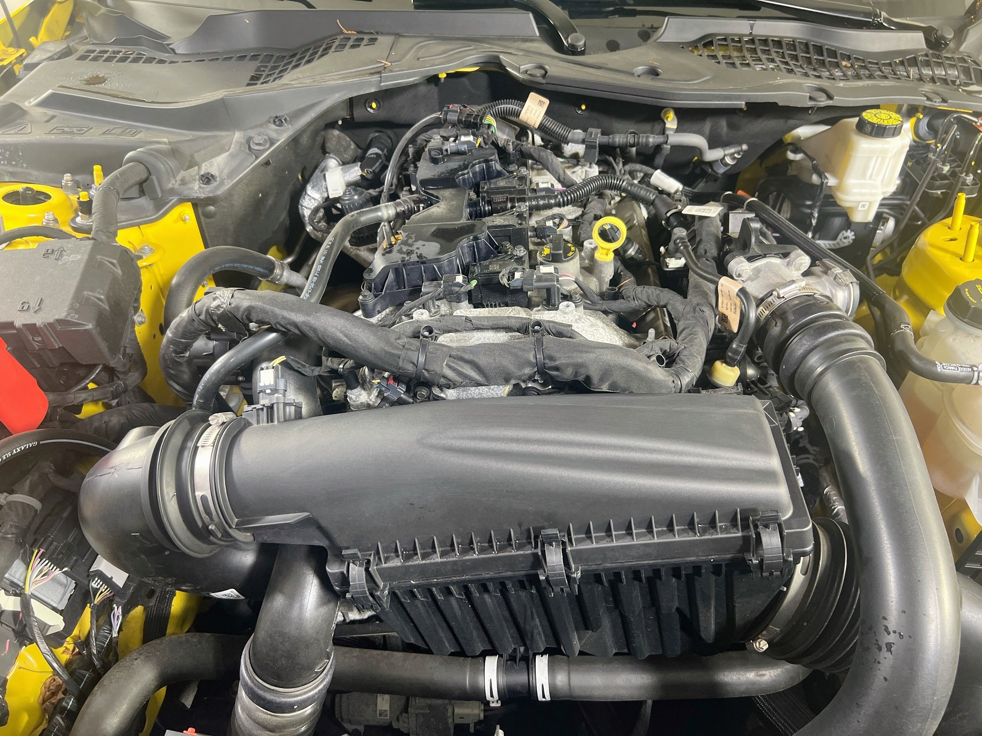 Used 2024 Ford Mustang Coupe RWD image 27