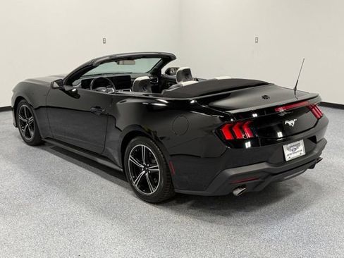 Used 2024 Ford Mustang Premium RWD image 8