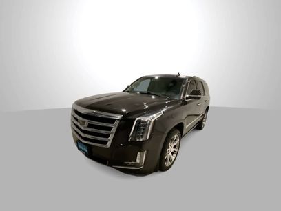 Used 2015 Cadillac Escalade Premium
