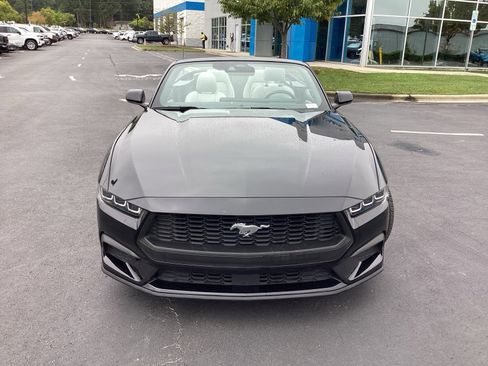 Used 2024 Ford Mustang Premium image 4