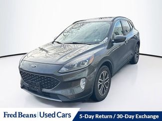 Used 2020 Ford Escape SEL video 2
