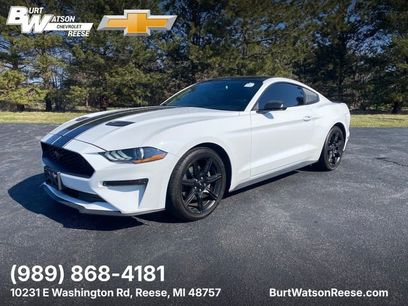 Used 2019 Ford Mustang Coupe w/ Equipment Group 101A