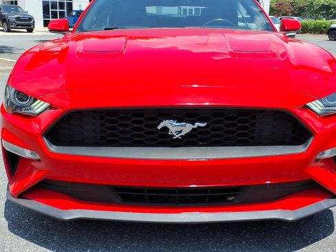 Used 2019 Ford Mustang Premium RWD image 14